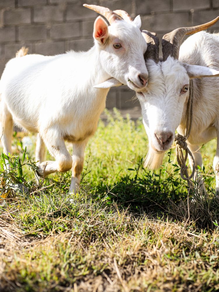 Photograph by Георгий Юркин