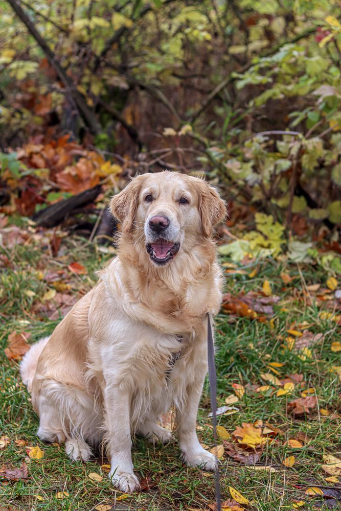 Photograph by Аня Проскурякова