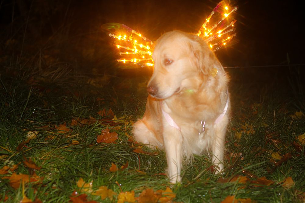 Photograph by Аня Проскурякова