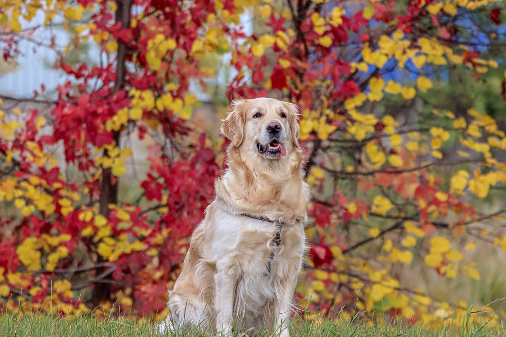 Photograph by Аня Проскурякова