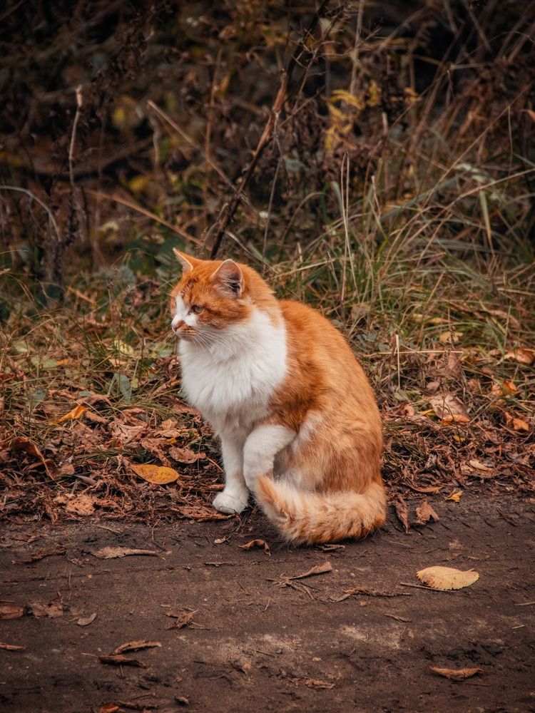 Photograph by Анна Любимова