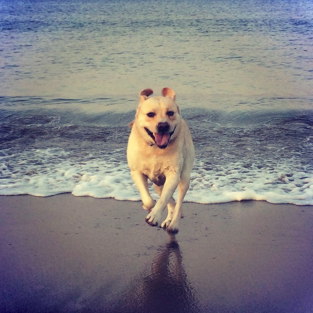 Photograph by Николай Коробко