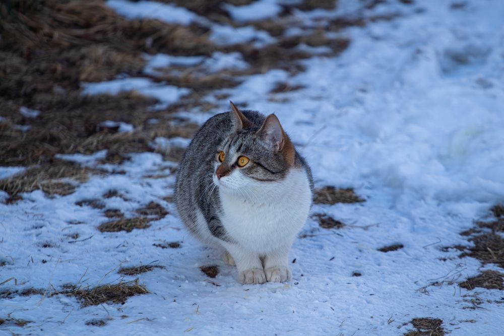 Фотография автора Алина Руденко