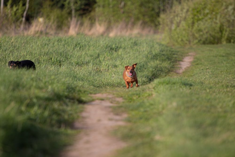 Фотография автора Алина Руденко