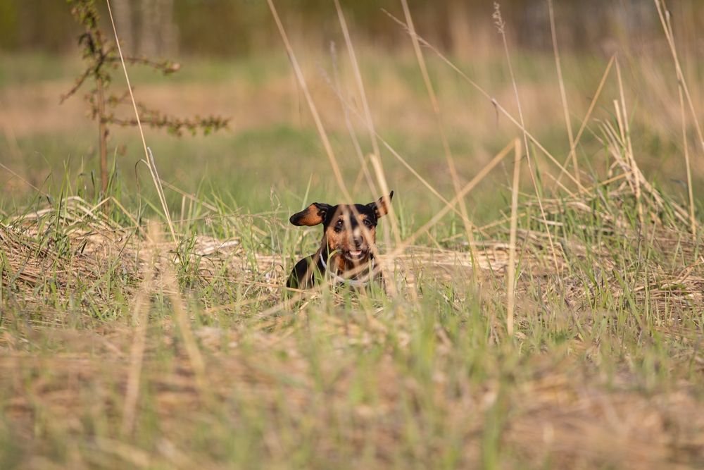 Фотография автора Алина Руденко