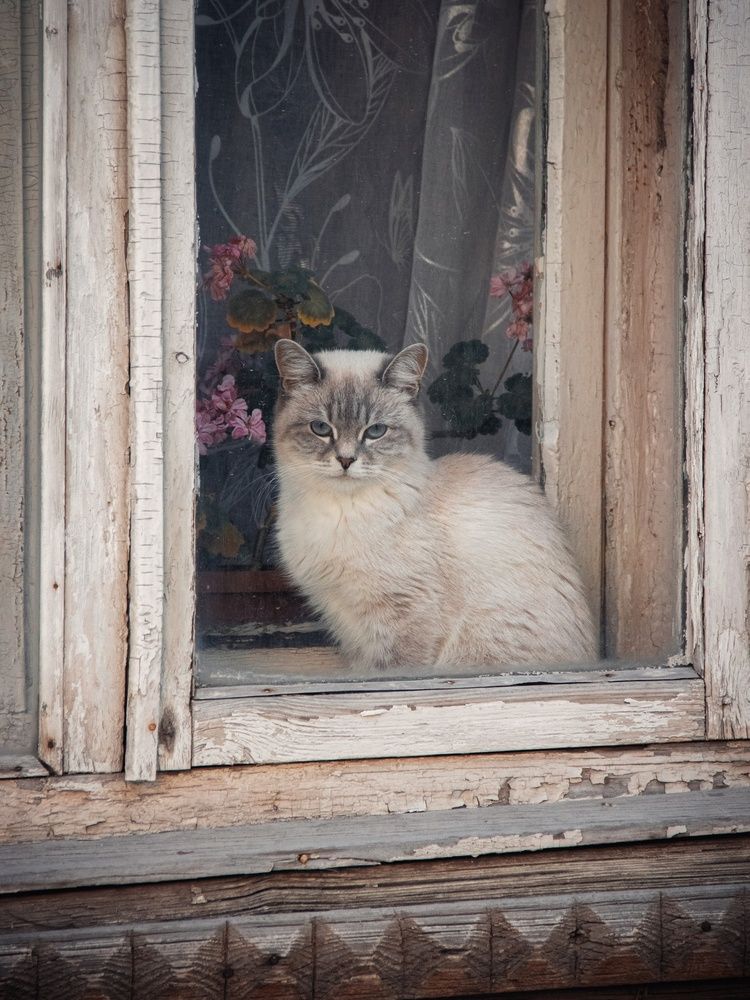 Photograph by Анна Любимова