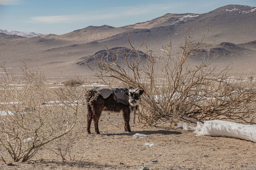 Photograph by Елена Павлова