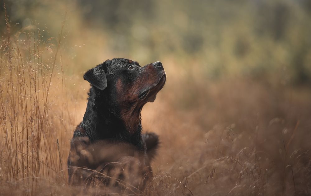 Photograph by Кудлай Яна
