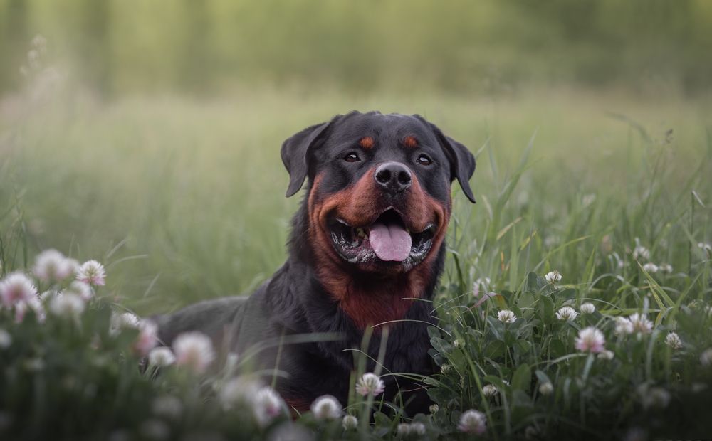 Photograph by Кудлай Яна