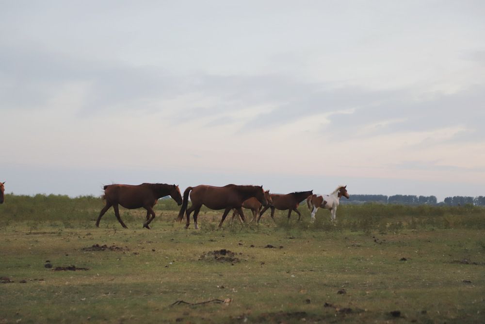 Фотография автора Татьяна Салиева