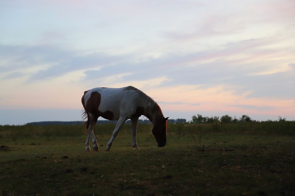 Фотография автора Татьяна Салиева
