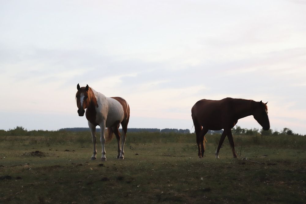 Фотография автора Татьяна Салиева