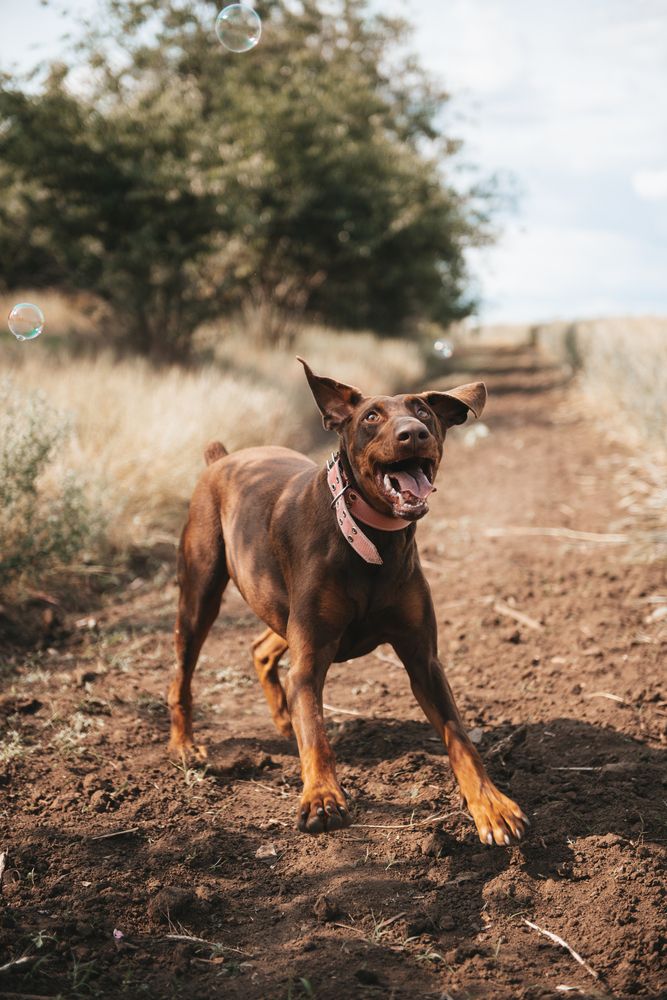 Фотография автора Ольга Тенилова