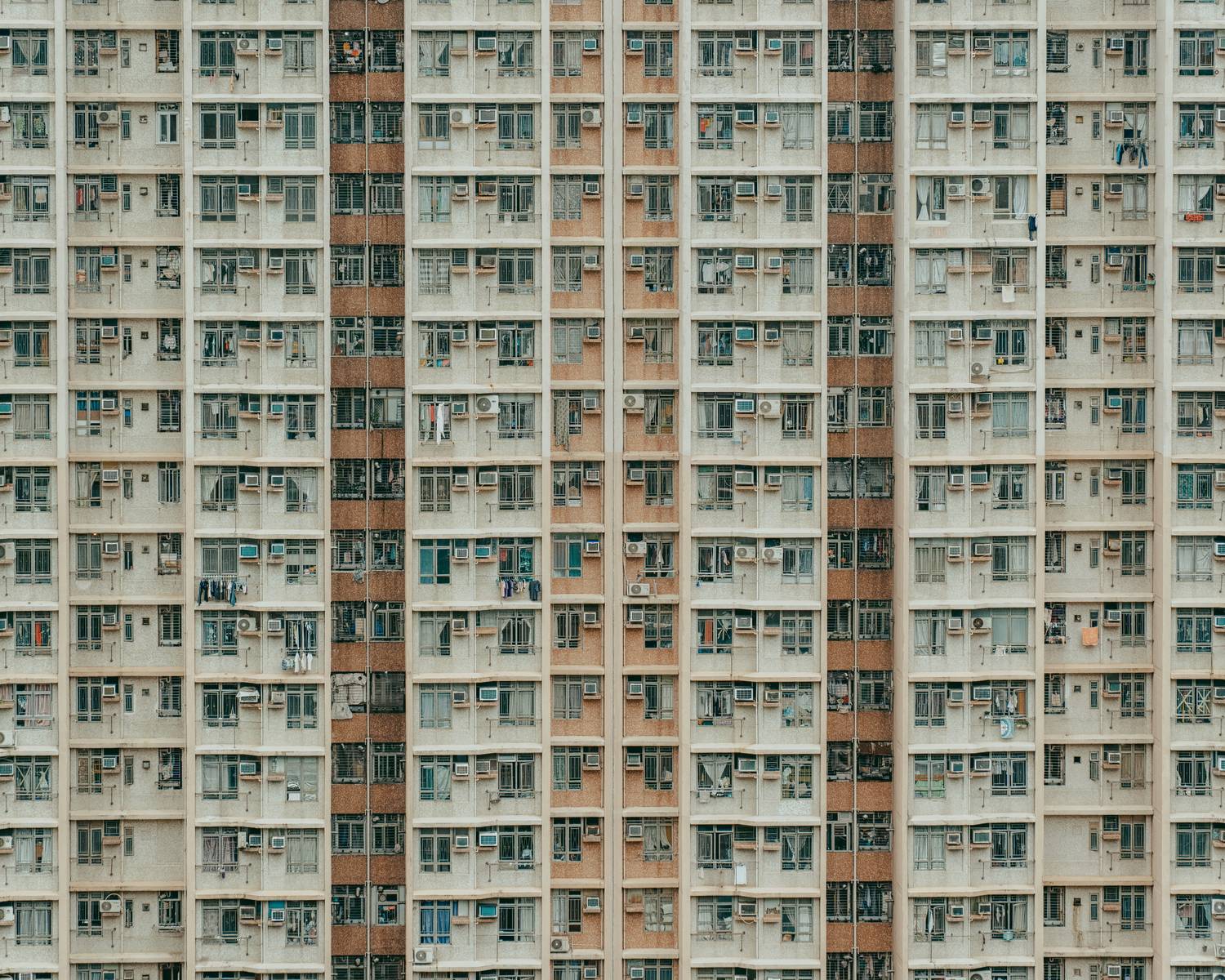 Фотография #12780307