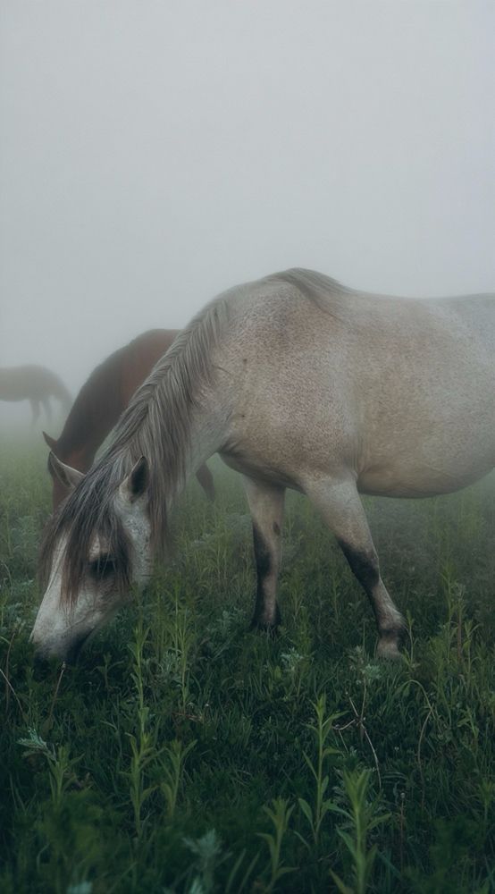 Photograph by Ксения Гулькова