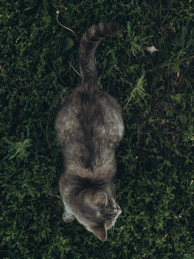 Photograph by Ксения Гулькова