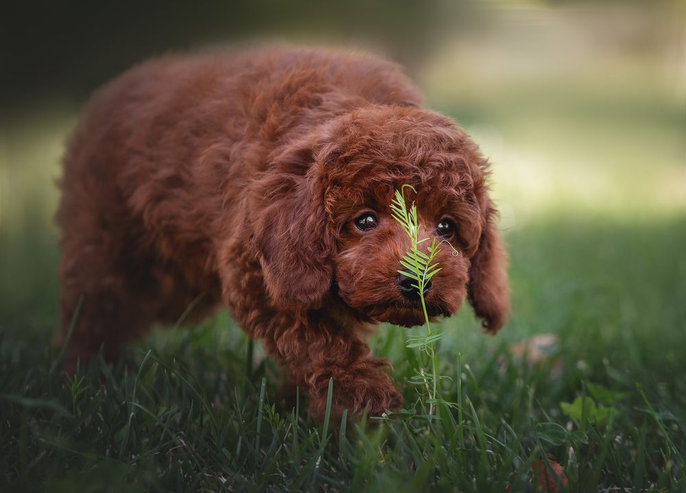 Photograph by Кудлай Яна