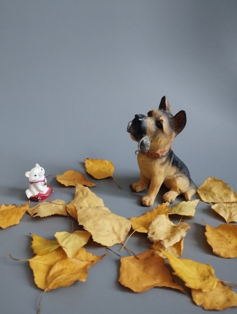 Photograph by Ия Дирко