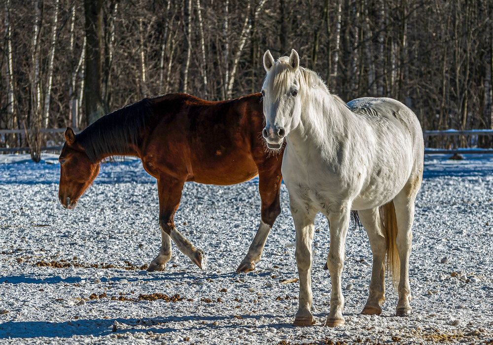 Photograph by Владимир Арбесман