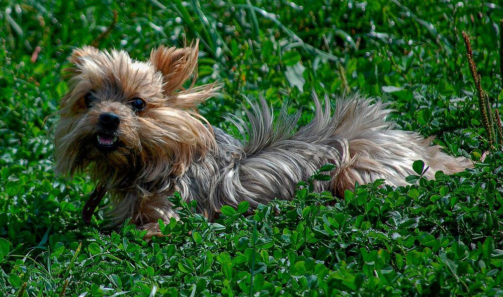 Photograph by Владимир Арбесман