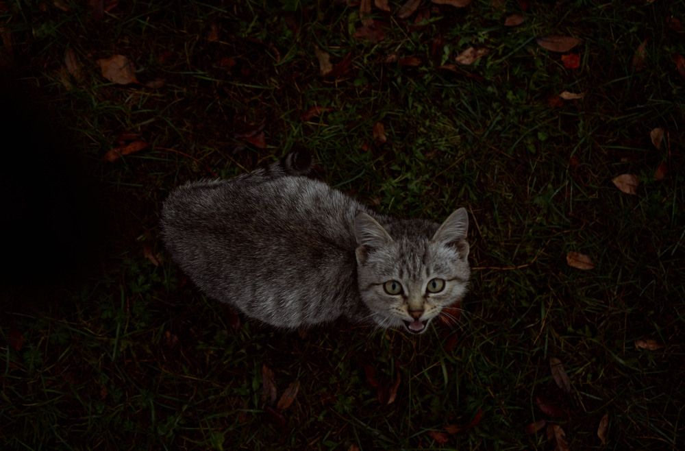 Photograph by Любовь Лунина