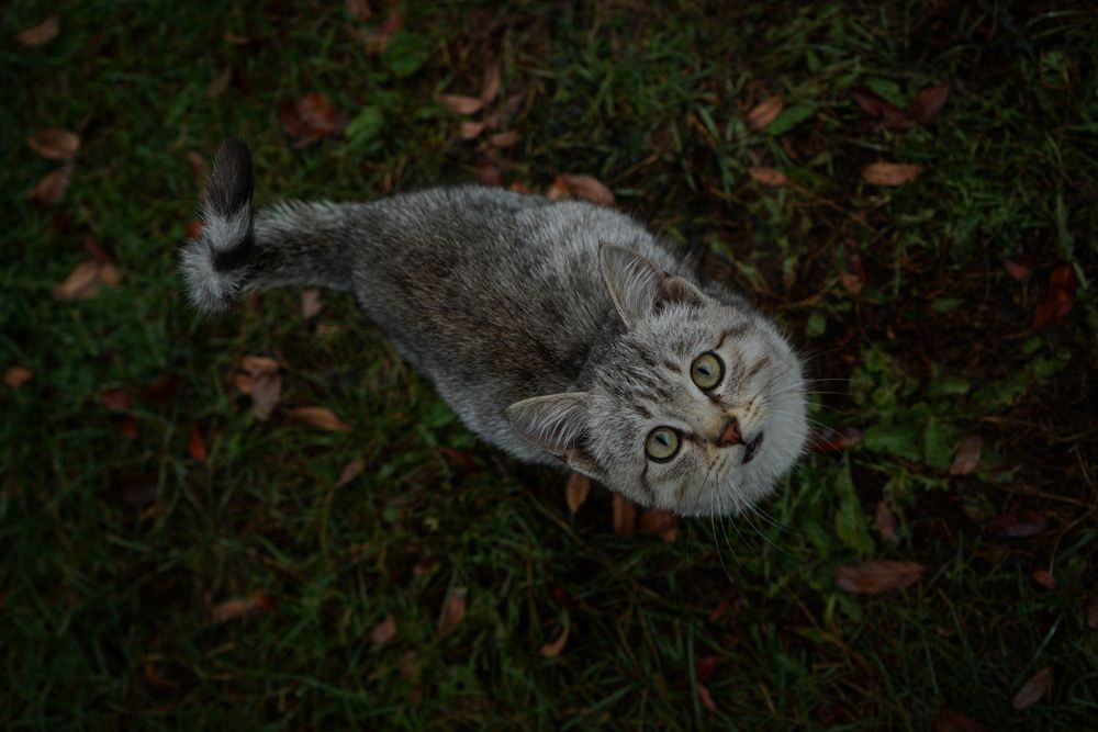 Photograph by Любовь Лунина