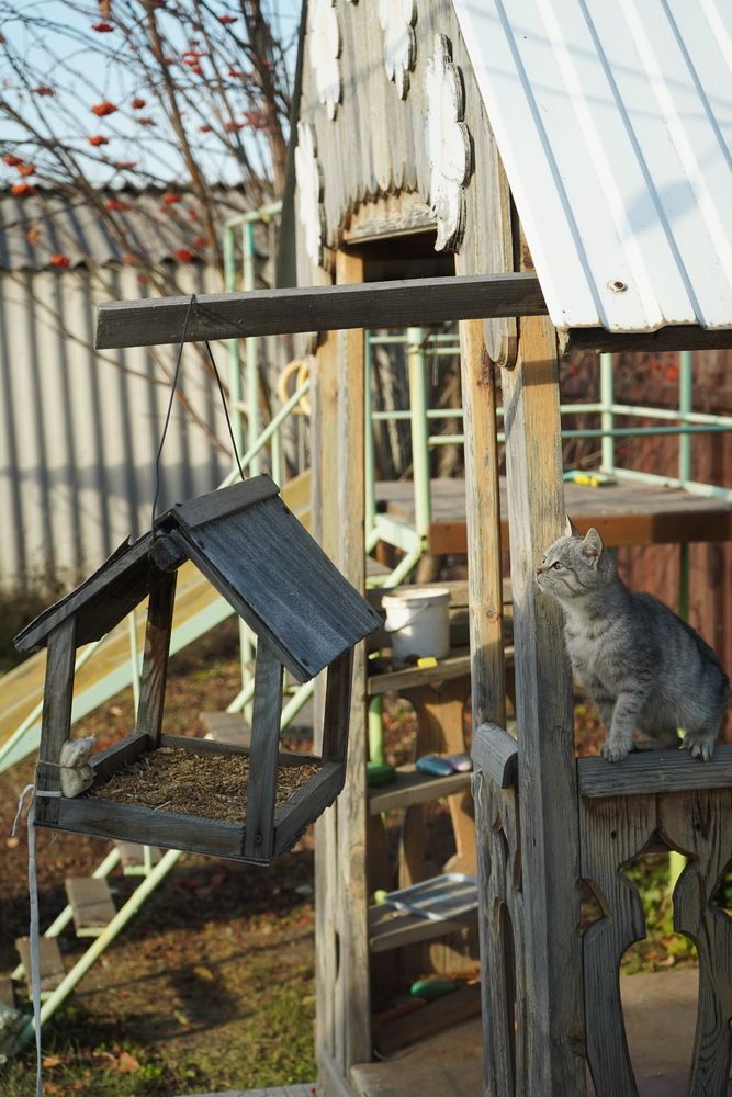 Photograph by Любовь Лунина