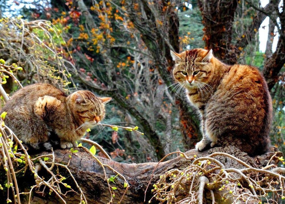 Photograph by Марина Раткун