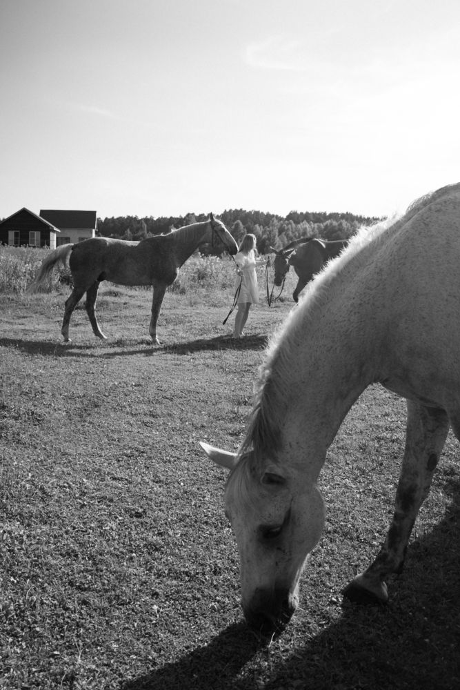 Photograph by Анна Форс