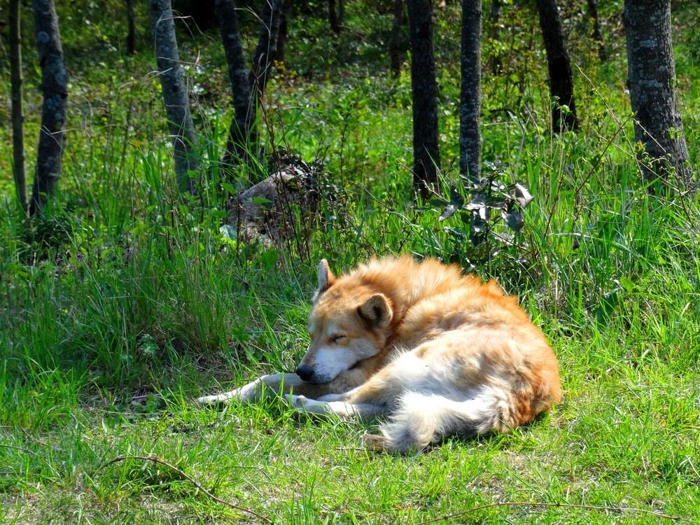 Photograph by Марина Раткун