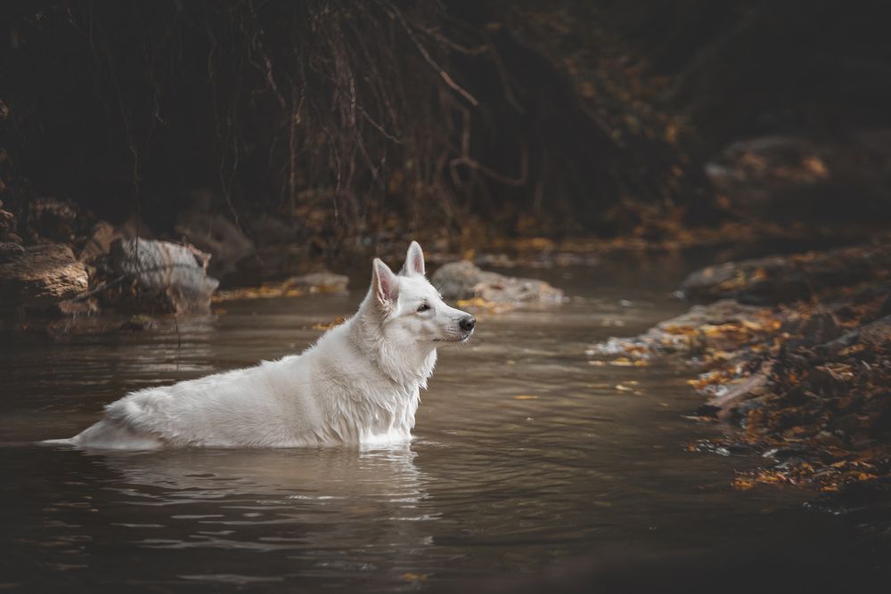 Photograph by Кудлай Яна