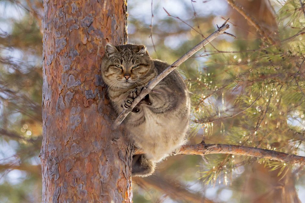 Photograph by Koledova Irina