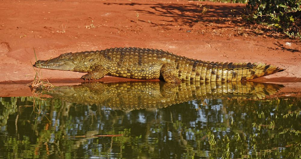 Photograph by Marjo Steffen