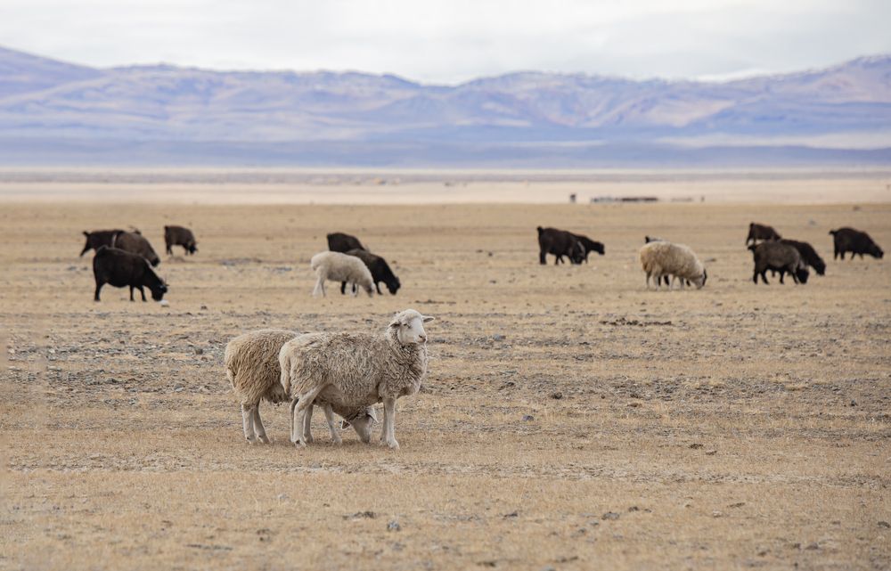 Photograph by Елена Павлова