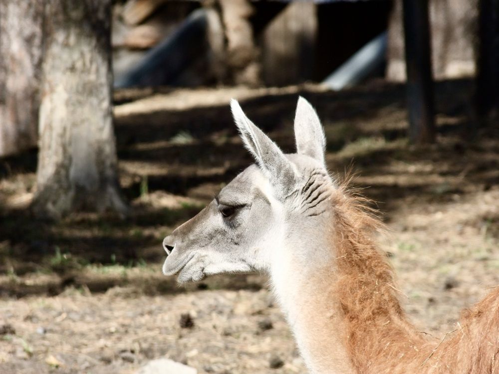 Photograph by Татьяна Шитлина