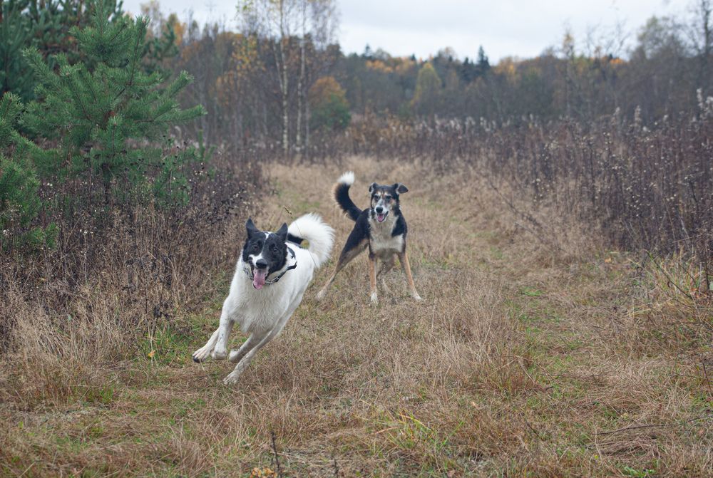 Фотография автора Оля Горская