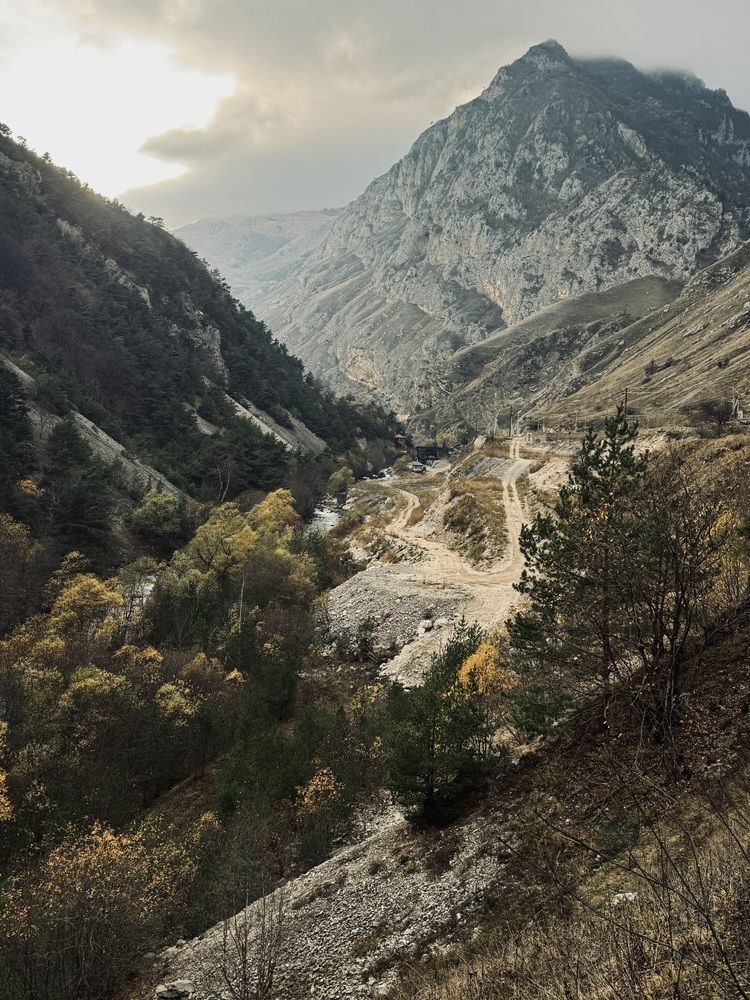 Photograph by Елена