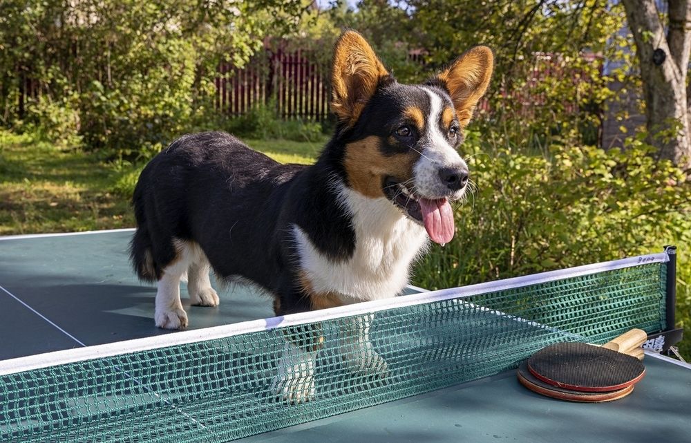 Photograph by Сергей Ключарёв