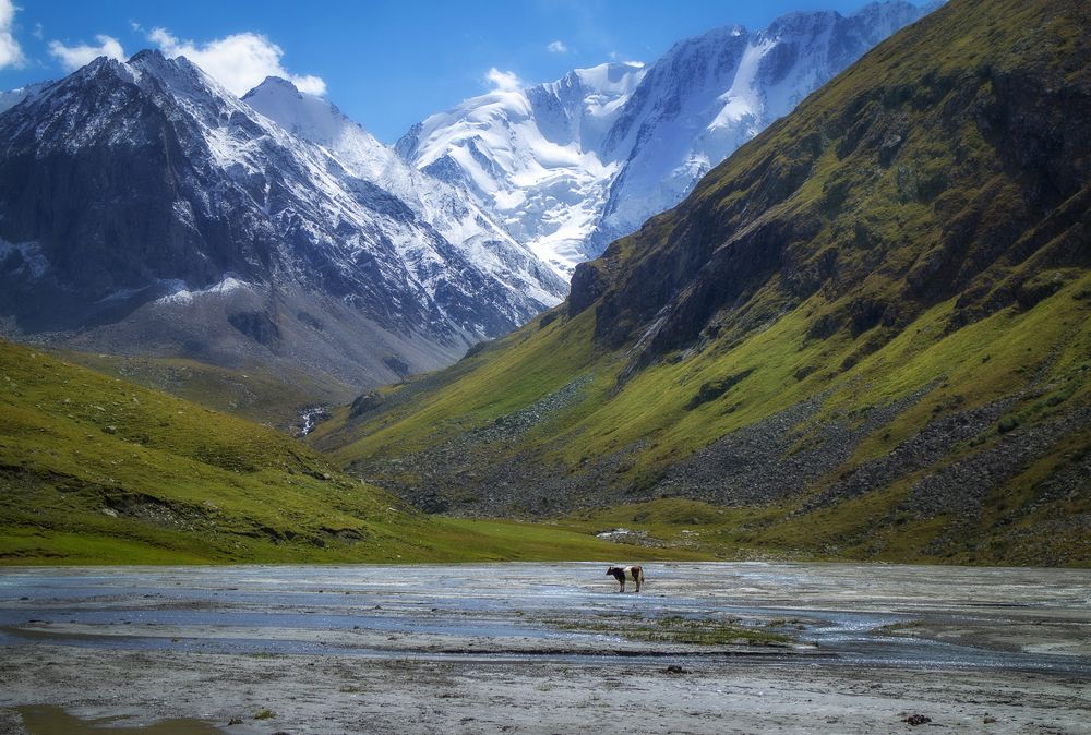 Photograph by Никита Костылёв