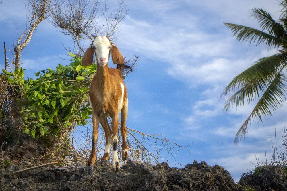 Photograph by Никита Костылёв