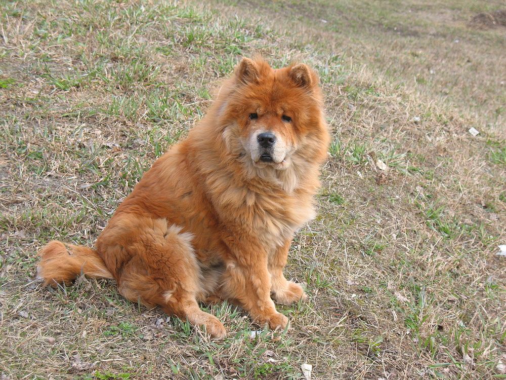 Photograph by Владимир