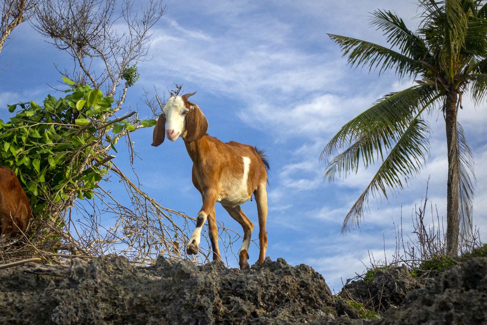 Photograph by Никита Костылёв