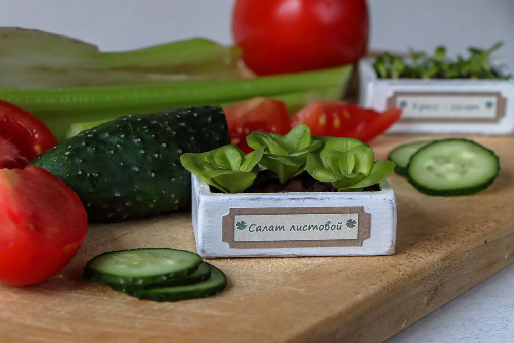 Миниатюра и реальные овощи