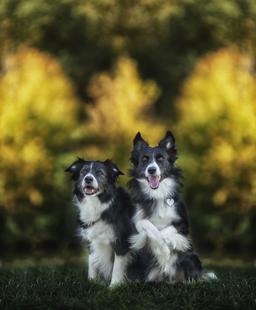 Осенний калейдоскоп