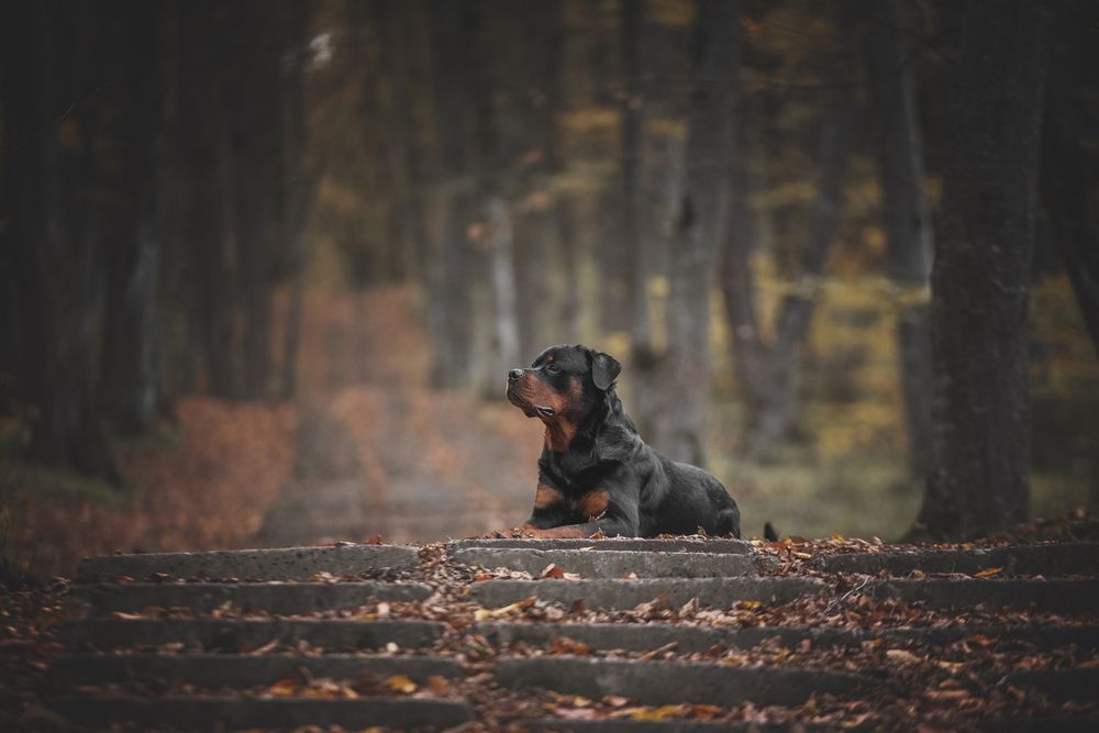 Photograph by Кудлай Яна