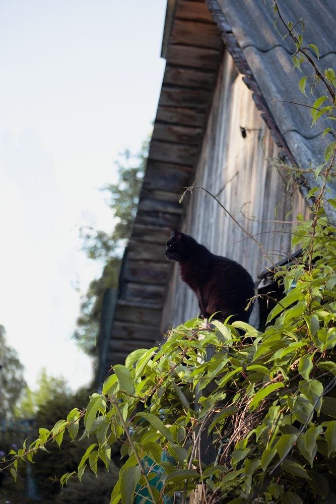 Фотография автора Оля Горская