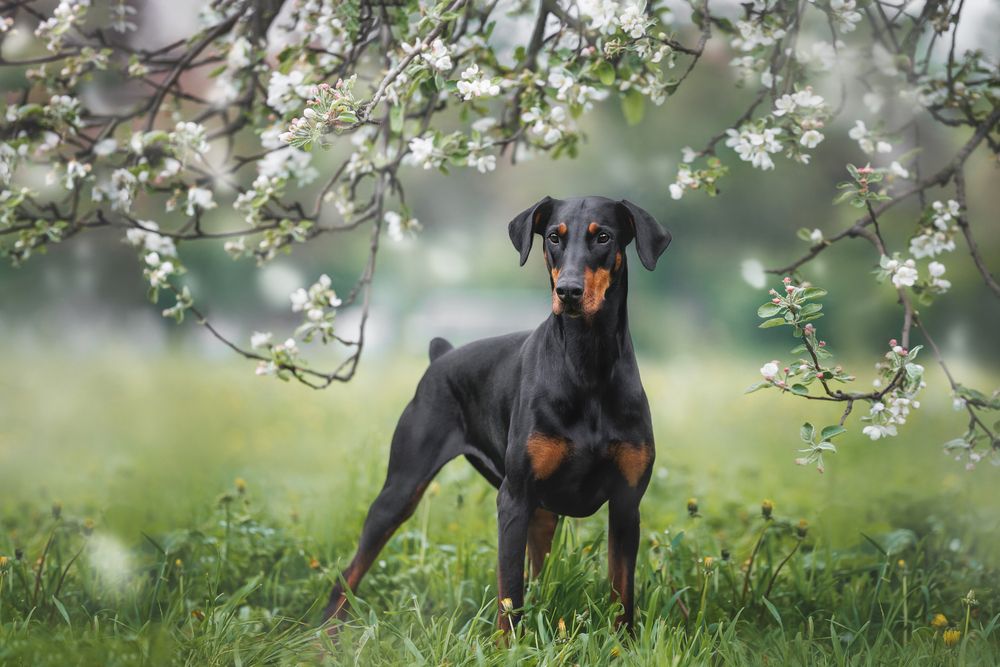 Photograph by Яна Нарбутович