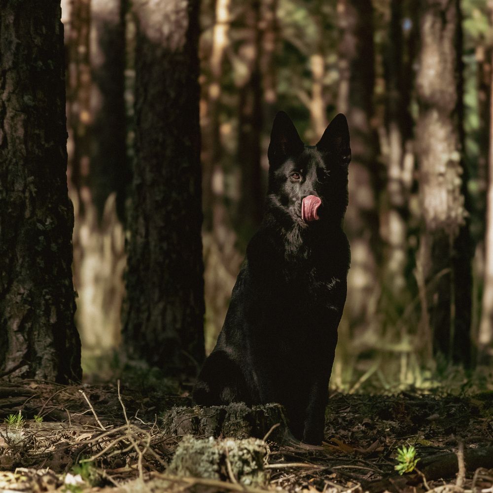 Фотография автора Izan Zufiaurre Sánchez