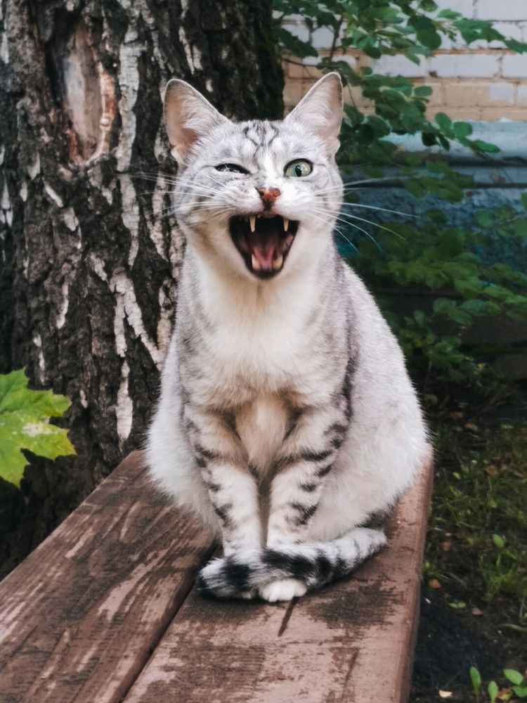 Photograph by Анастасия Юрьева