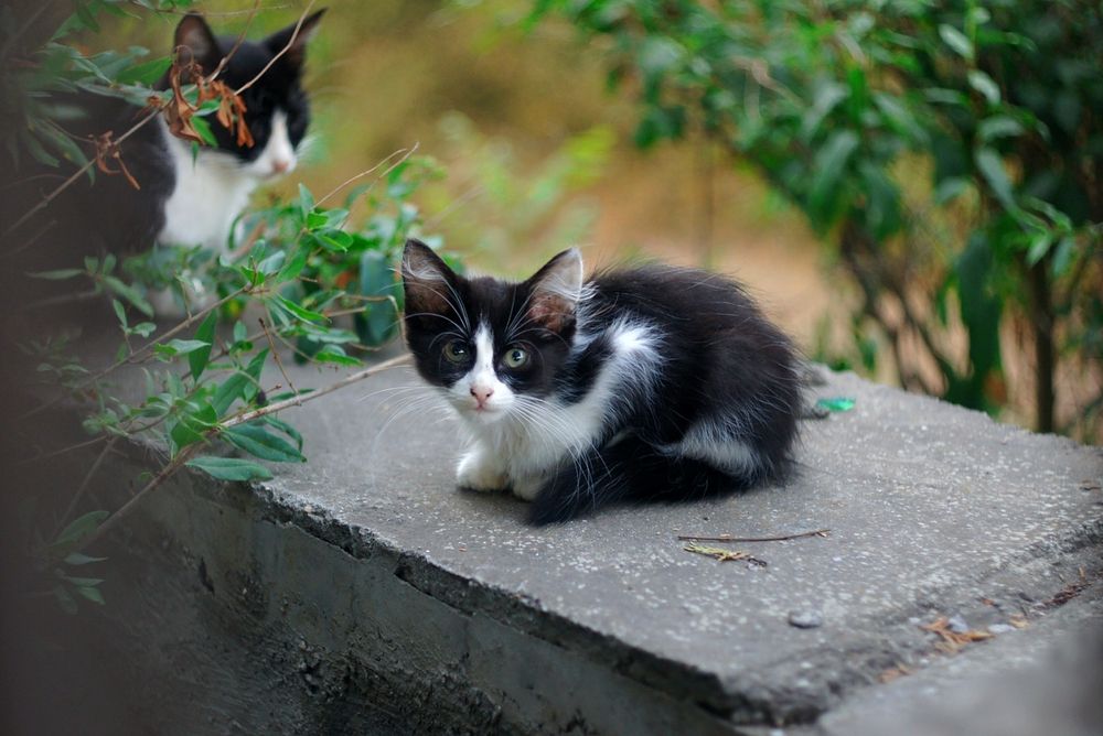 Photograph by Анастасия Конюхова